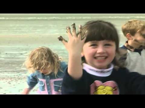 Teletubbies: The Beach