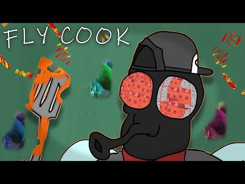 Fly Cook