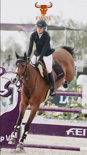 3 Horse Riding Tips for Beginners | Bwok Equestrian Guide