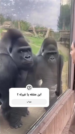 اگر میدونی ؟