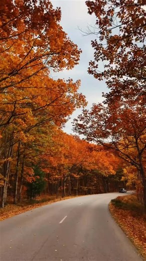 There’s a certain kind of kitchen that carries Thanksgiving with grace - rich finishes, thoughtful color, and the quiet elegance of traditional design. In a landscape where many new Minnesota homes feel uniform, these spaces stand apart: warm, inviting, and filled with a sense of place. Here are our top kitchens for hosting the holiday, rooms designed not just for cooking, but for gathering. If your heart leans toward timeless style and a home with true character, Monson & Larson is here to help