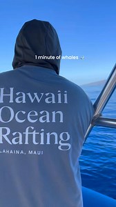 4K views · 135 reactions | Whale Seasonal is officially over and we couldn’t be more grateful! Our Ohana‍欄‍, the weather, the team  and the whales  all came together to make it a season to celebrate and we’re going to hold these moments in our hearts until we get to make more awesome memories next season with you all! 酪 | Hawaii Ocean Rafting | Facebook