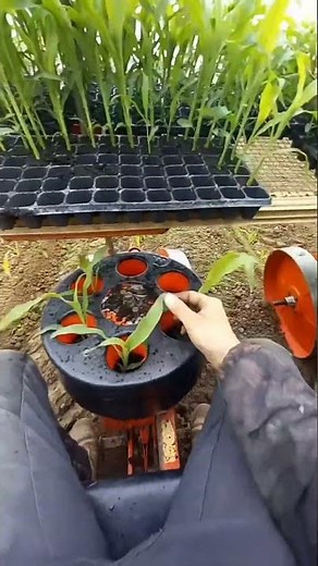 seed planting process by using modern technology