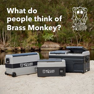 They Love their Brass Monkey Fridge / Freezer