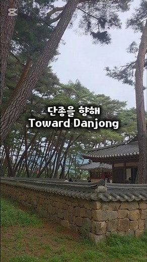 강원도 여행 청령포 Ep.5 | 단종을 향한 소나무#영월여행 #청령포 #단종 #단종어소 #소나무 #역사여행 #국내여행 #여행쇼츠 #힐링여행 #Gangwon #koreatravel
