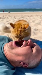 Foraging. . . @leonardoaiofficial | Zane Austin