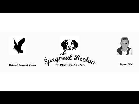 Sortie du 30 Novembre 2025 à Plourin Les Morlaix