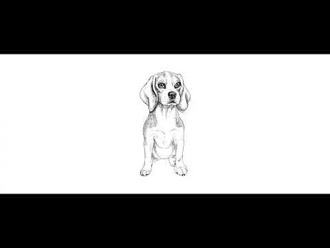 63 Seconds for the Soul I Lost Today. | A Heartfelt Goodbye to My Dog | Tribute to him Prod. by Deep