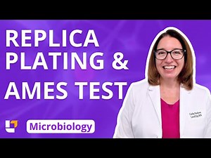Replica Plating & Ames Test: Microbio Genetics Pre-Nursing / Med & Health Field Careers | ‪@LevelUpRN‬