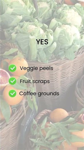 What You Can Compost #shorts #shortsfeed