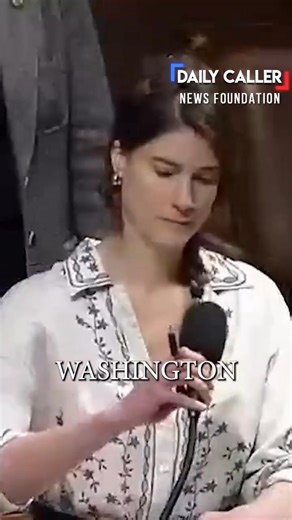 4.2K views · 32 reactions | Intense Democrat Infighting Over "Election Subversion" | American Voices | Facebook