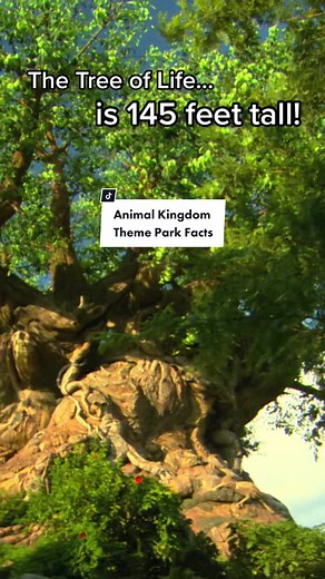 Fascinating Animal Kingdom Theme Park Facts You Didn't Know