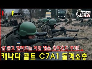 우크라군의 최신 돌격소총! 캐나다 콜트 C7A1 소총