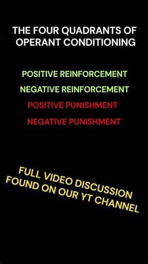 What Is Operant Conditioning? All Four Explained! 💯‼️
