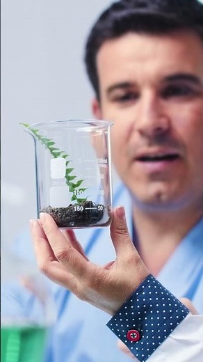 Genetics, Cell and Developmental Biology | ASU Online #genetics