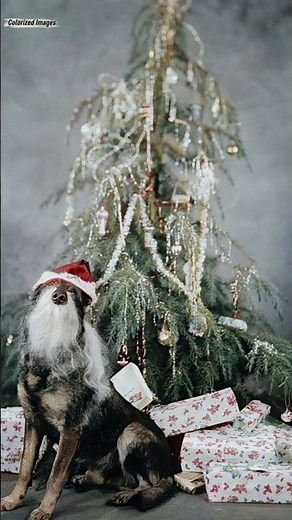 A Christmas Past Brought to Life / HD Animated & Colorized Photographs