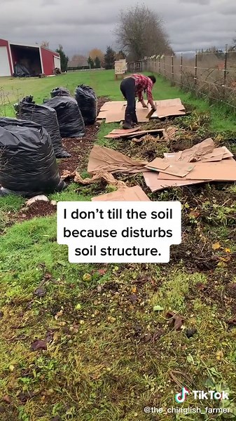 Sheet Mulching for New Garden Beds: Tips and Techniques