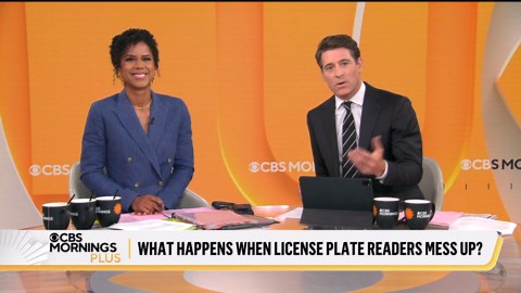 The hidden risk of license plate scanners on the road