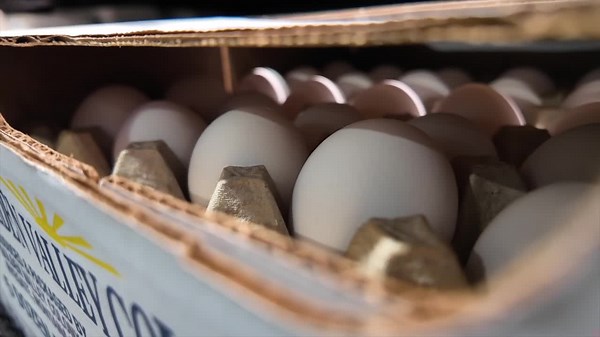 Montana restaurants, grocery shoppers navigating high price of eggs