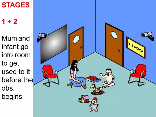 Mary Ainsworth Strange Situation Experiment