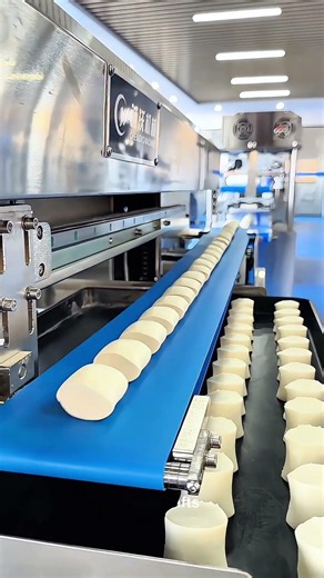 Bread Production Line: Smooth and Continuous Shaping