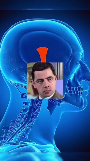 Human Body Parts We No Longer Need