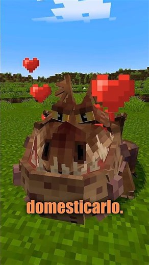 THIS MOD ADDS DRAGONS TO MINECRAFT
