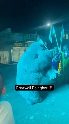 Bharweli Balaghat #balaghat #dance #lifeisbutadream