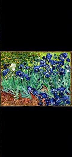 Irises (1889) is one of Vincent van Gogh’s most celebrated floral paintings