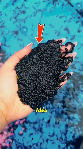 She Bought Strange Eggs… Years Later The Pond Was FULL of Frogs! 🐸😱 #shorts #trendingshorts