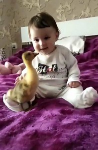 152K views · 3.8K reactions | Let's teach kids love and respect for animals so when they grow up they'll be better people 殺 Such a sweet video  Credit: Animaliberaction | Back to Nature | Facebook