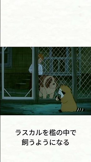 【世界名作劇場】「あらいぐまラスカル」を1分で解説 #アニメ #世界名作劇場
