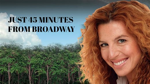 Just 45 Minutes From Broadway (2012)