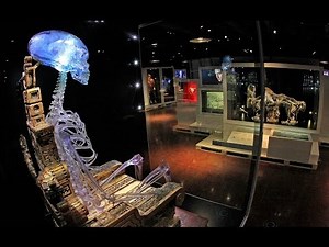 Indiana Jones And Adventure Of Archaeology