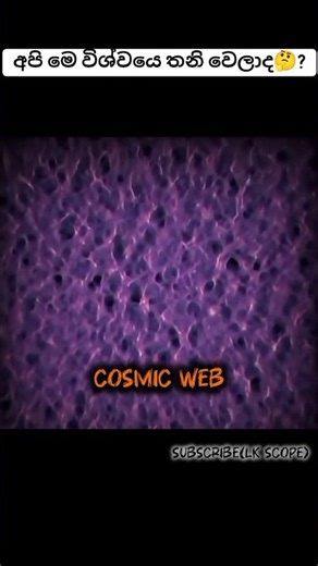 පිටසක්වළ ජීවීන් ඇත්තටම ඉන්නවද 🤔?#sinhala#scienceshorts#trending#universe#alien