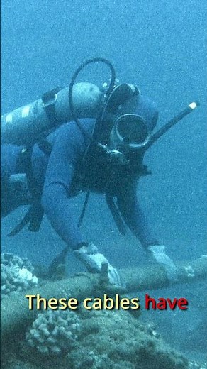 How Undersea Cables Connect the Entire World 🌍