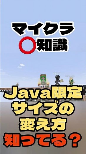 【マイクラ️⭕️知識】Java限定サイズ変更のコマンド知ってる？【Minecraft/minecraft/まいくら】