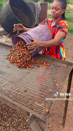 Understanding Palm Oil Production and Its Uses