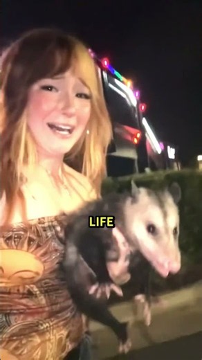 She Found a Possum on the Street and Took Him Home ❤️