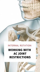2.3K views · 54 reactions | Internal Rotation - AC Joint Restrictions...