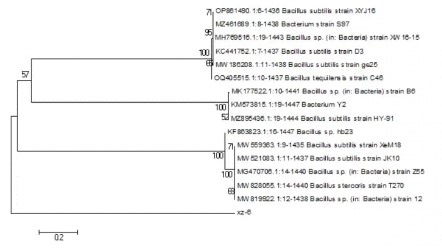 救命呀，怎么分析DNA序列
