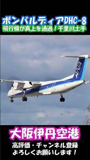 【千里川土手シリーズ第六弾！】ANA ボンバルディアDHC-8 🛬 頭上を通過するDHC-8の優雅な超低空アプローチ #dhc8 #飛行機