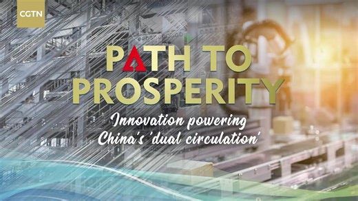 Innovation powering China's 'dual circulation'
