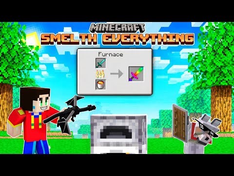 Minecraft but I smelt Everything 🤩 @AnshuBisht 