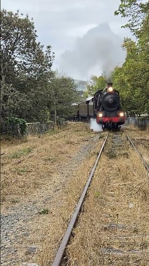 Train is a coming!#Rail line (I am not moving, go around me)
