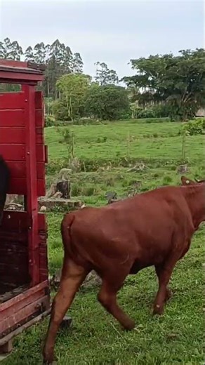 15 de novembro de 2025