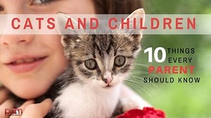 Cats and Children: 10 Things Every Parent Should Know - Cat Behavior Associates