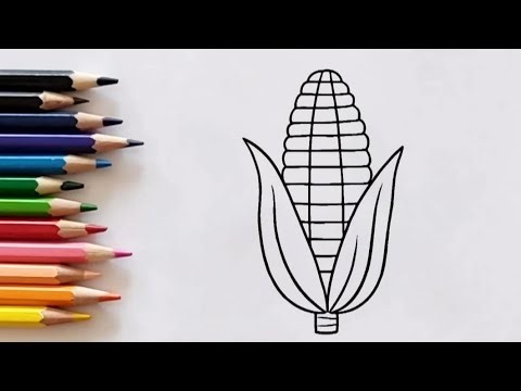 How to draw corn | How to draw delicious corn
