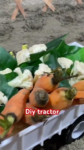 Diy homemade rc tractor on action