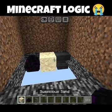 Minecraft Logic is Something Else! 💀